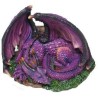 Dragon Mauve Endormi